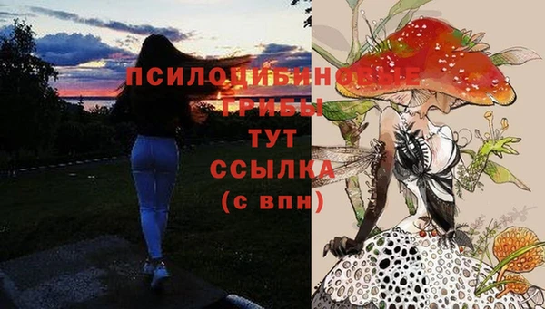 прущий лед Анжеро-Судженск